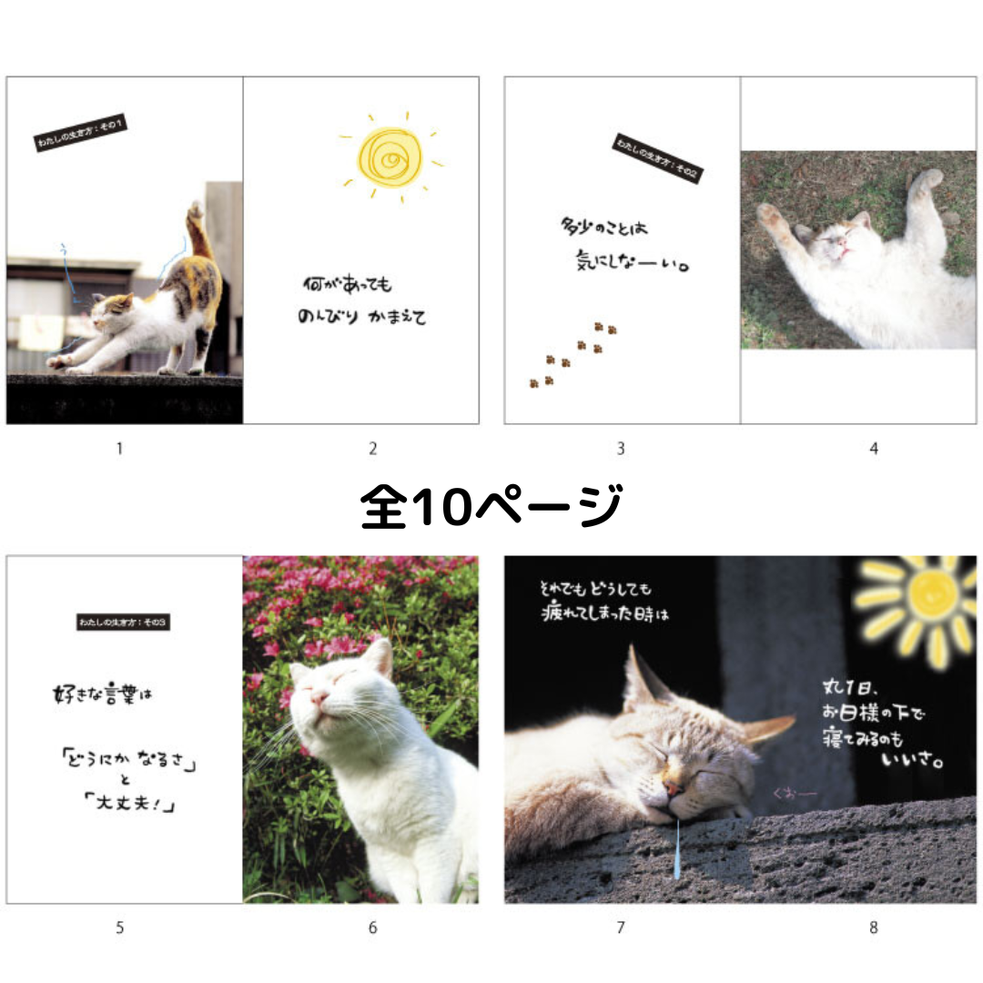 バースデー絵本カード │ 日なたぼっこ猫 のんびりのススメ