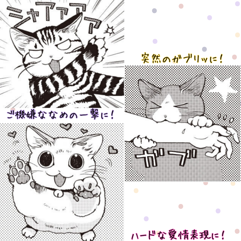 にゃんそうこう