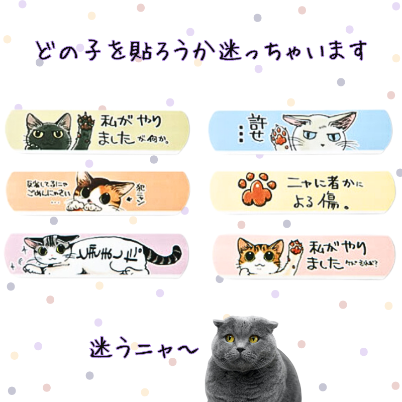 にゃんそうこう