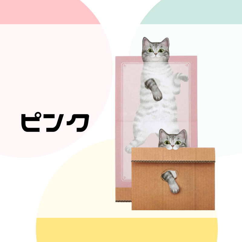 遊んでいただけるんですか!? 猫のメッセージメモ