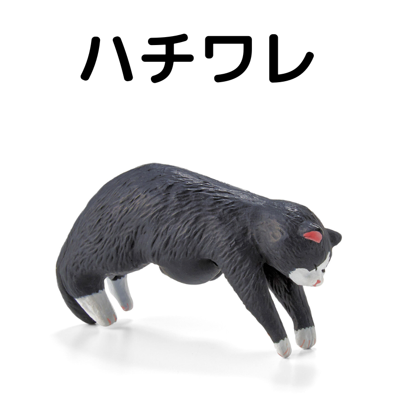 そこで寝ちゃうの? だら〜ん猫の傘タグ