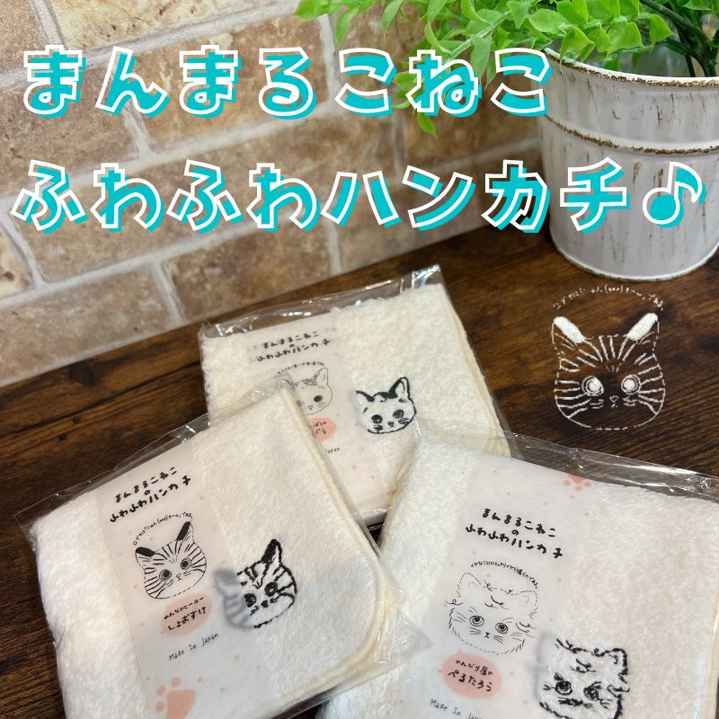 ハンカチ | ふわふわハンカチ まんまるこねこ 【日本製】