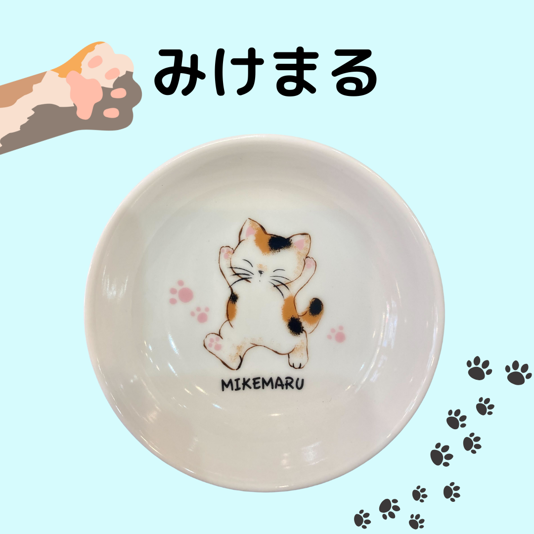 まるのおさんぽ | 小皿