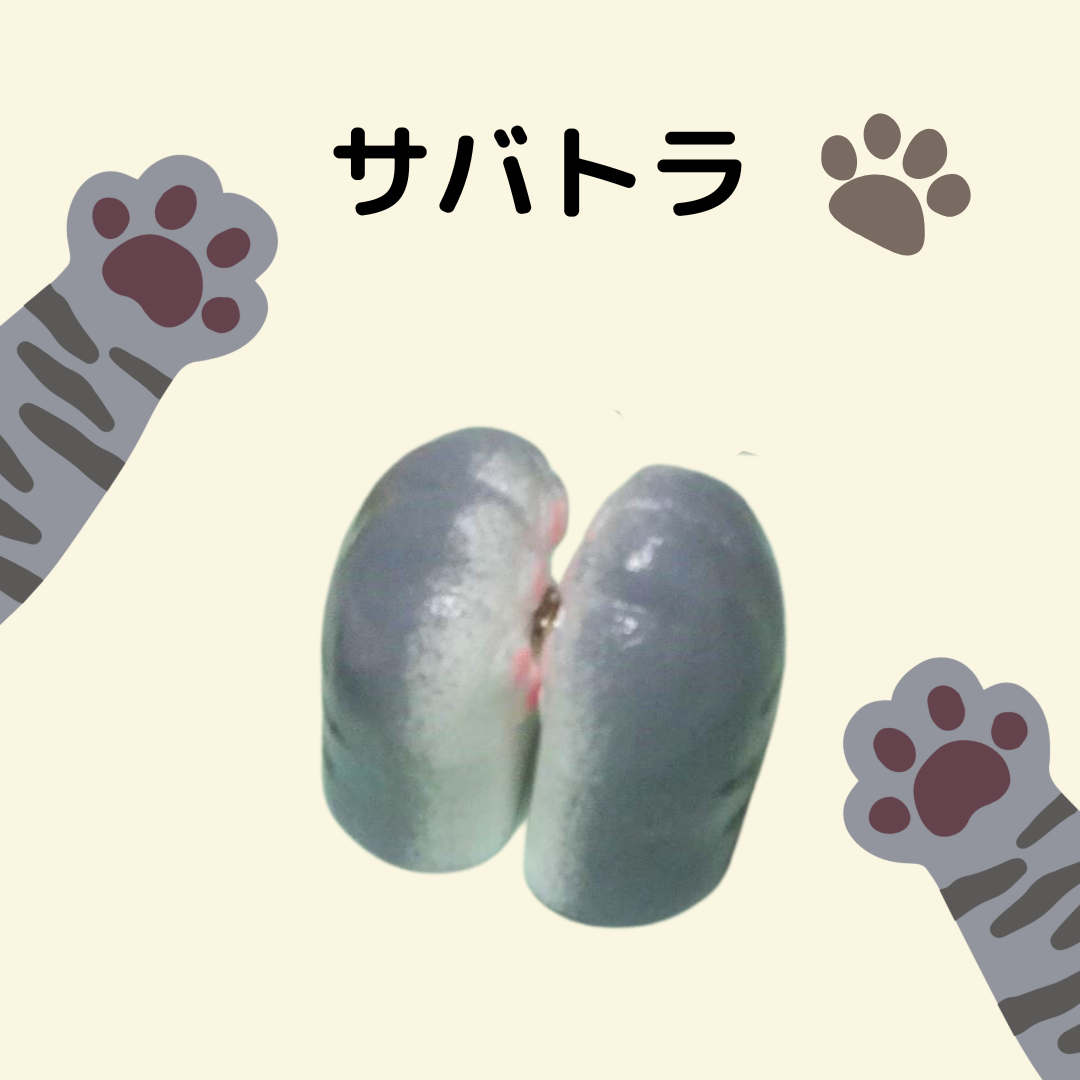 ねこの両手マグネット