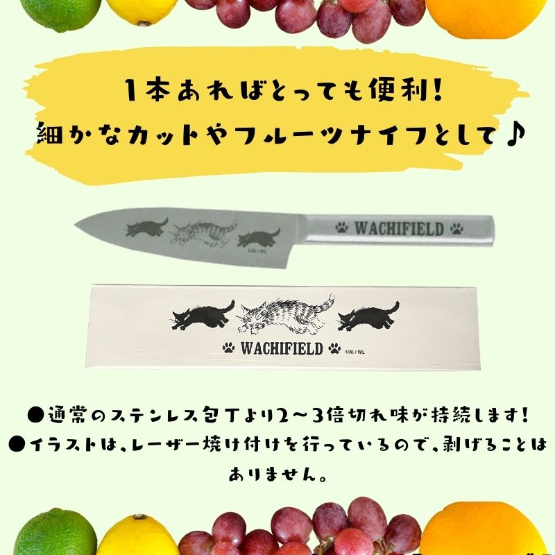 猫のダヤン | ペティナイフ