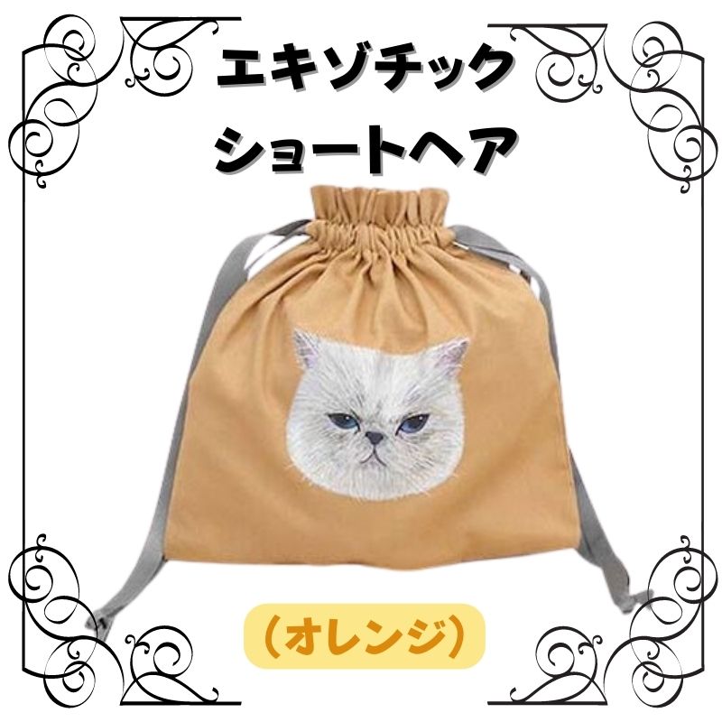 ポーチ | 猫ちゃん転写プリント 巾着