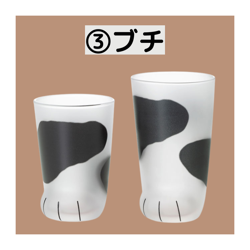 coconeco │ 親子セット ギフト