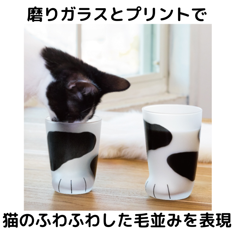 coconeco │ 親子セット ギフト