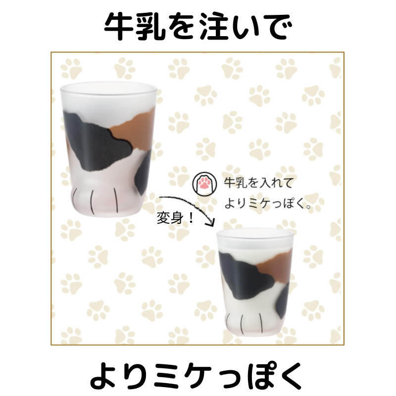 coconeco │ 親子セット ギフト