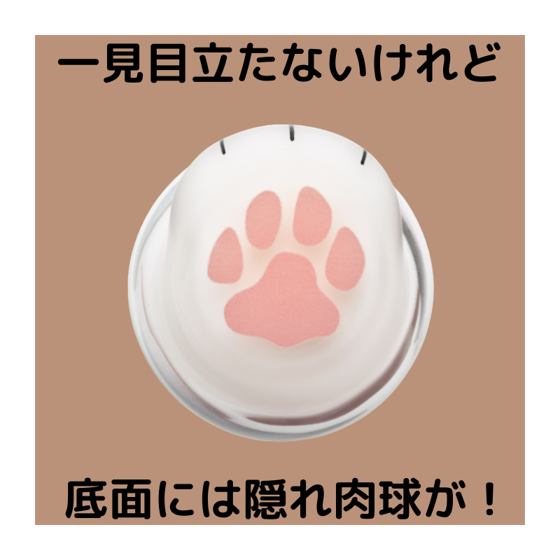 coconeco │ 親子セット ギフト