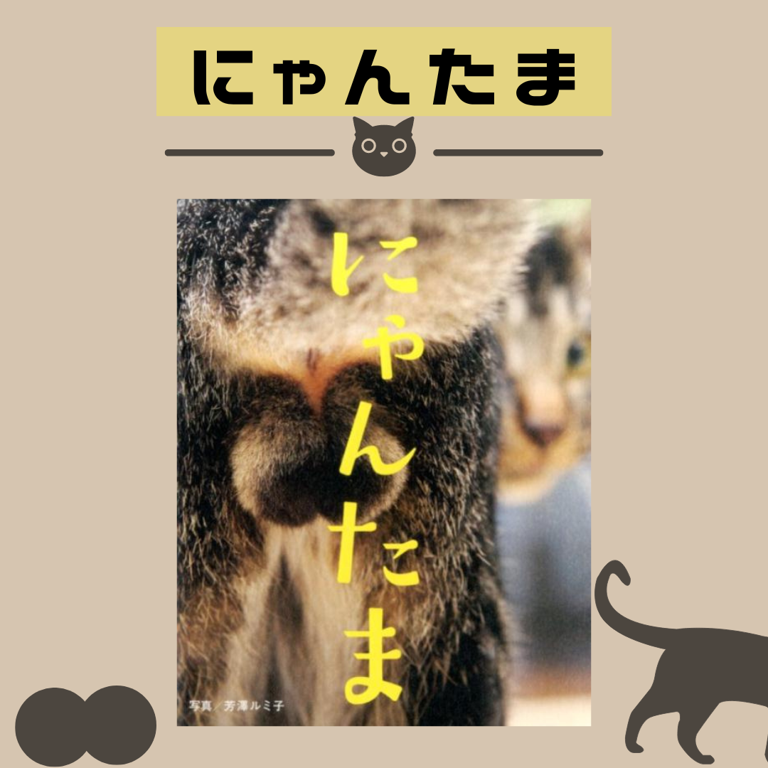 にゃんたま 猫の写真集