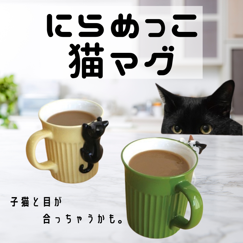 にらめっこ猫マグ